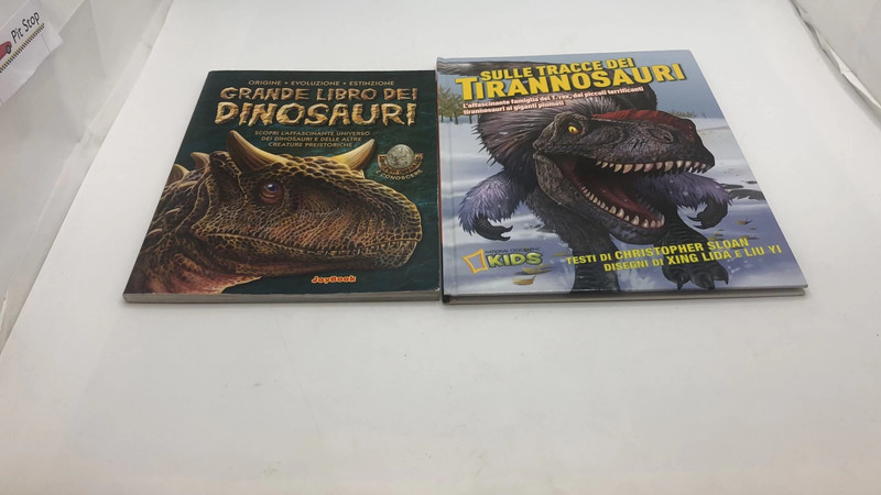 Lotto 9: Coppia di libri sui dinosauri