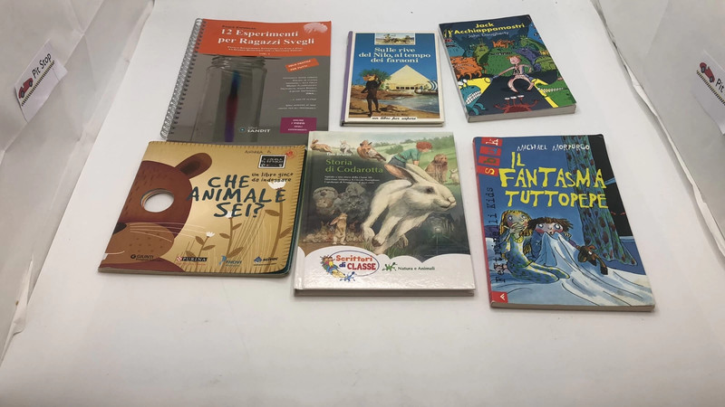 Lotto 6: libri per ragazzi